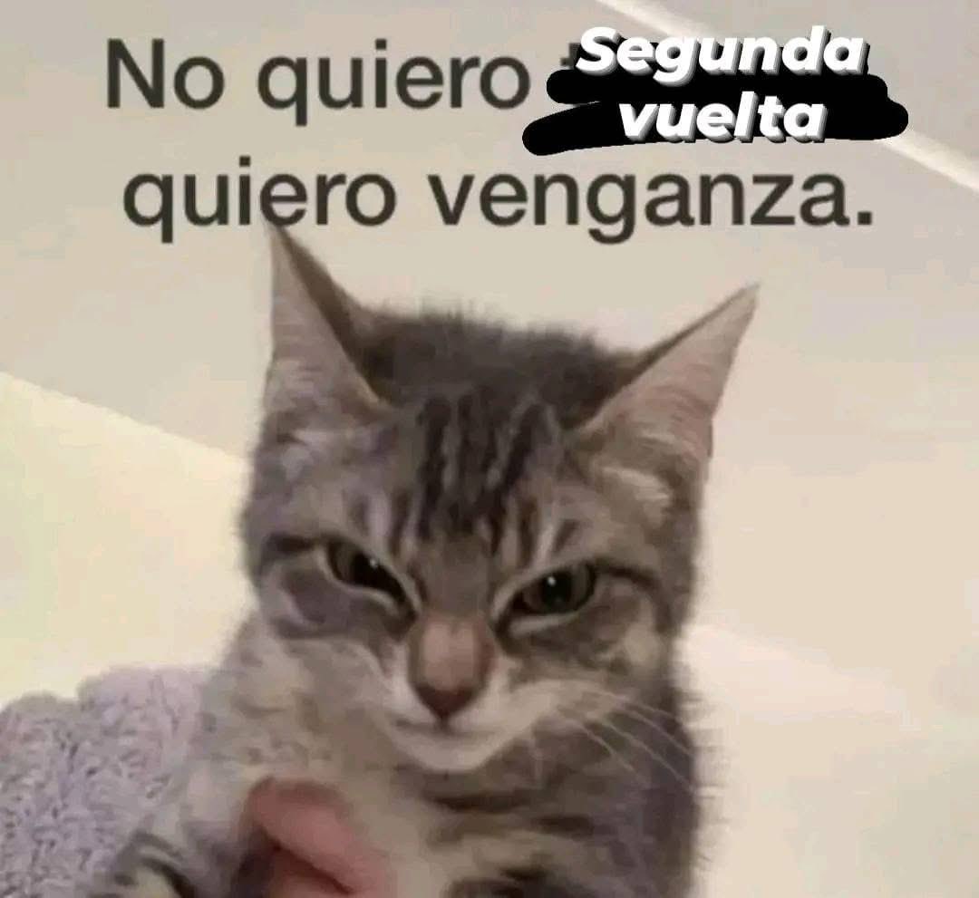 lenmunoz_'s tweet photo. https://t.co/MDPOGpCJFX