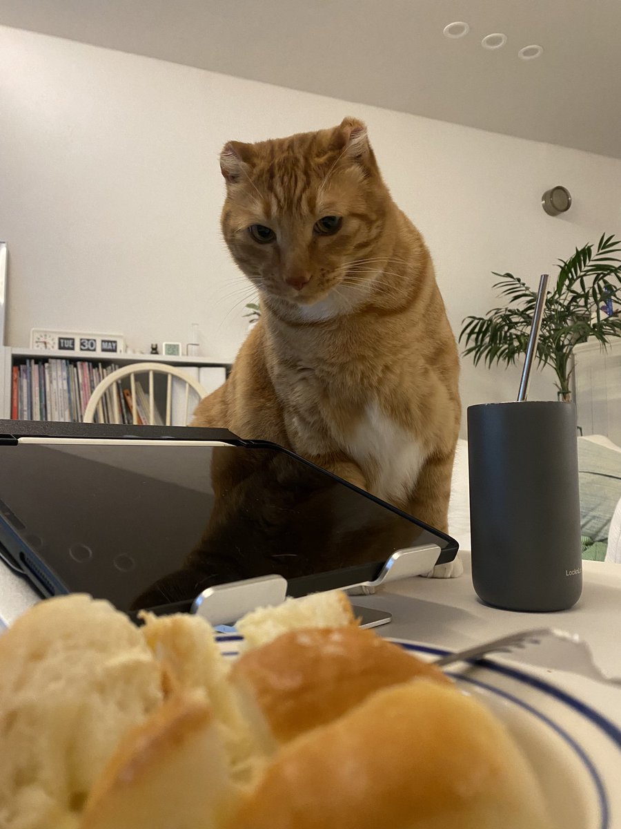 째무 tweet media