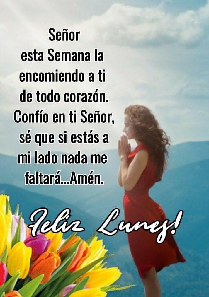 EspeFelipe's tweet photo. @Luisa1E Buen día hermosa. Luisa que tengas un bonito y feliz Lunes. Que hoy tu vida se llene de Bendiciones, salud, felicidad, trabajo, amor, Fé, Esperanza, mucha abundancia y de muchas cosas bonitas, para que nada te falte y seas muy feliz 🙏❤️😘🌹🌻 https://t.co/PiASId8fK2