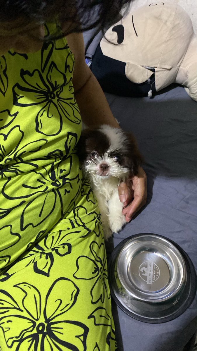 DefenderZee's tweet photo. Mukang cancel ang bagong pyesa sa motor ko ah.😅😂 Baby Aria 😍🐶 https://t.co/mmB8ZvDOrl