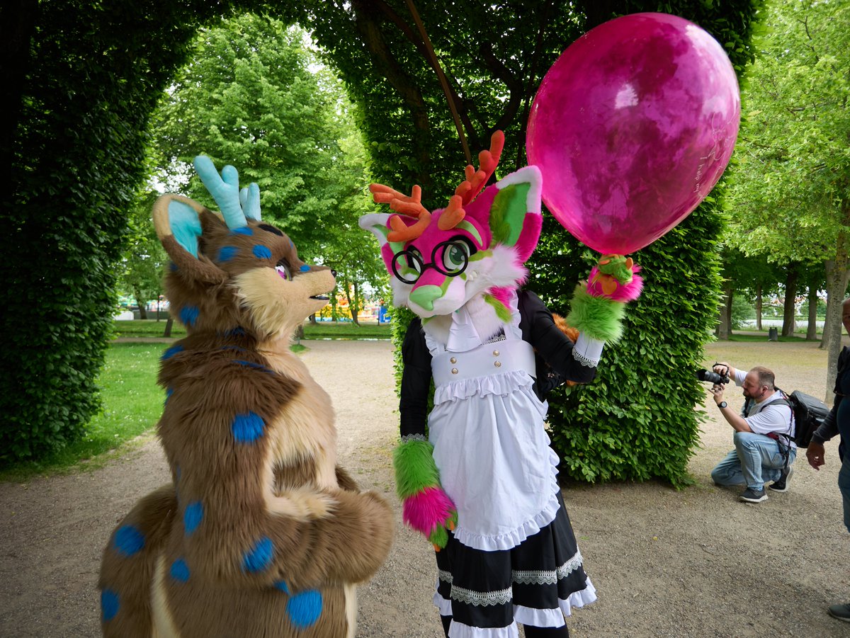 Lisichka_squeak's tweet photo. Little maid Lish has something very pretty and it looks like it cought the eye of @fuchsrehchen who wanted to take a closer look and maybe give it a little gentle squeak?

Super fun finally getting the currage to bring my Emotional Support Balloon to a furwalk <3 https://t.co/GtddIuxRQn