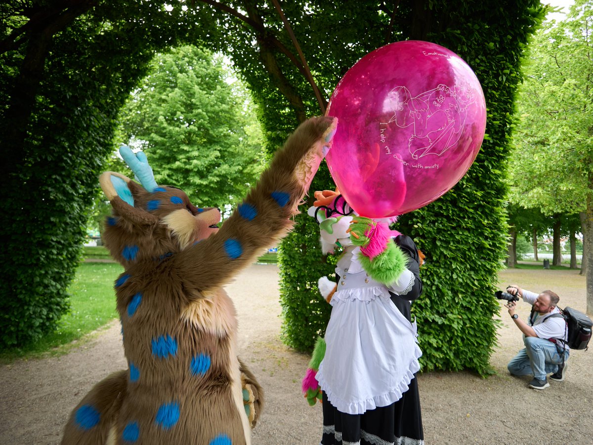 Lisichka_squeak's tweet photo. Little maid Lish has something very pretty and it looks like it cought the eye of @fuchsrehchen who wanted to take a closer look and maybe give it a little gentle squeak?

Super fun finally getting the currage to bring my Emotional Support Balloon to a furwalk <3 https://t.co/GtddIuxRQn