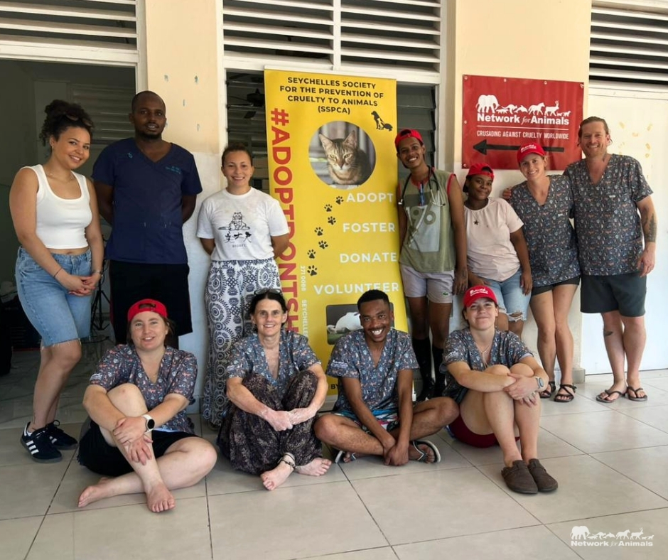 Network4Animals's tweet photo. Success on La Digue! Our veterinary team surpassed its target, sterilizing 209 cats &amp; dogs during a short campaign on the remote Seychelles island 🐶😸🇸🇨

This means fewer unwanted litters &amp; less suffering ahead. Thank you for helping make it happen.

👉 https://t.co/xisGZxwikt. https://t.co/S8zuV1l5pS