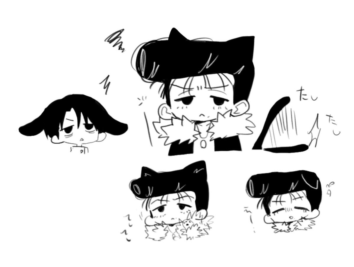 O23n_yan's tweet photo. ねこごおり https://t.co/hc0RPZPUtl