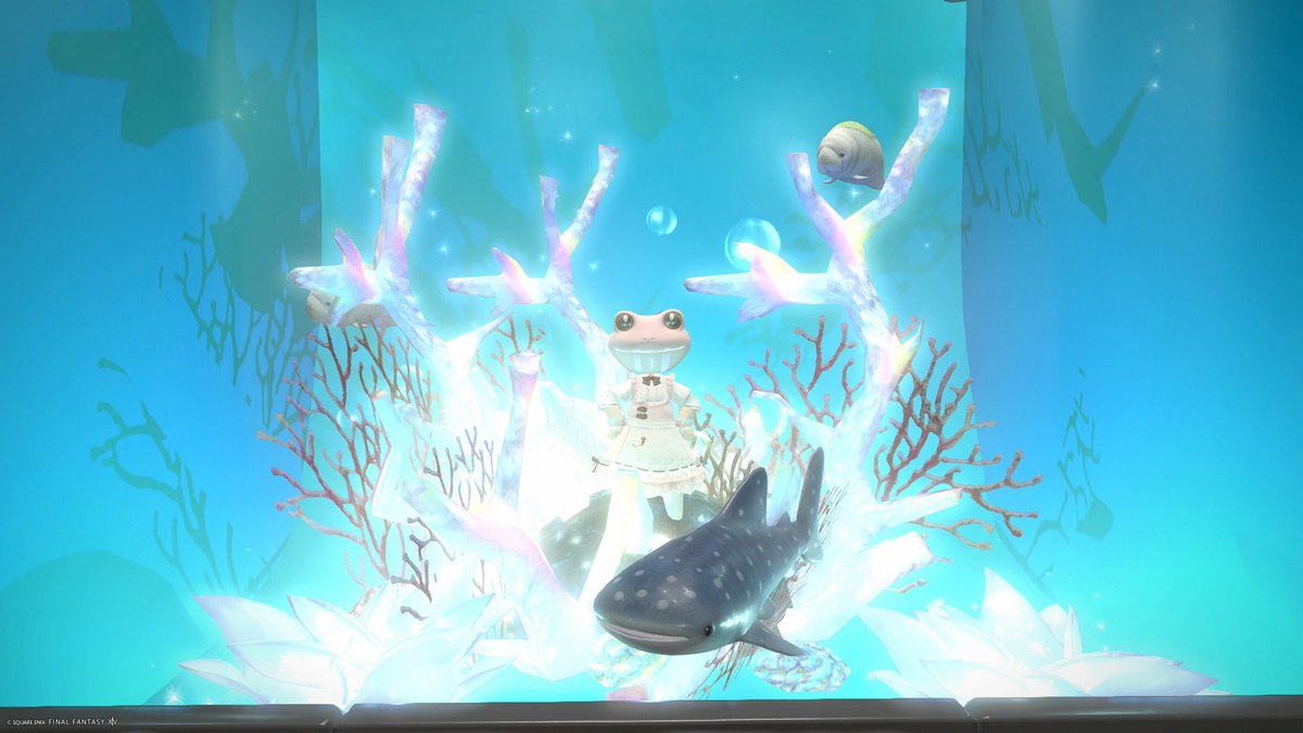 sumom0_0's tweet photo. ハウジング巡りたのしかったなあ
あまゆさんから貰ったジンベイザメも
ちょうどいいフォトスポットだった🐟
ありがとううううう https://t.co/x50RKRMzxB