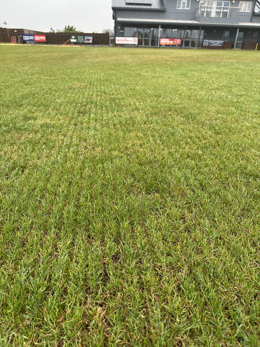PeterAlvis61961's tweet photo. Pitch works on going, pitch cleaned prior to seeding and goal mouth drainage works started @ringwood town fc https://t.co/WaUftPTyPh