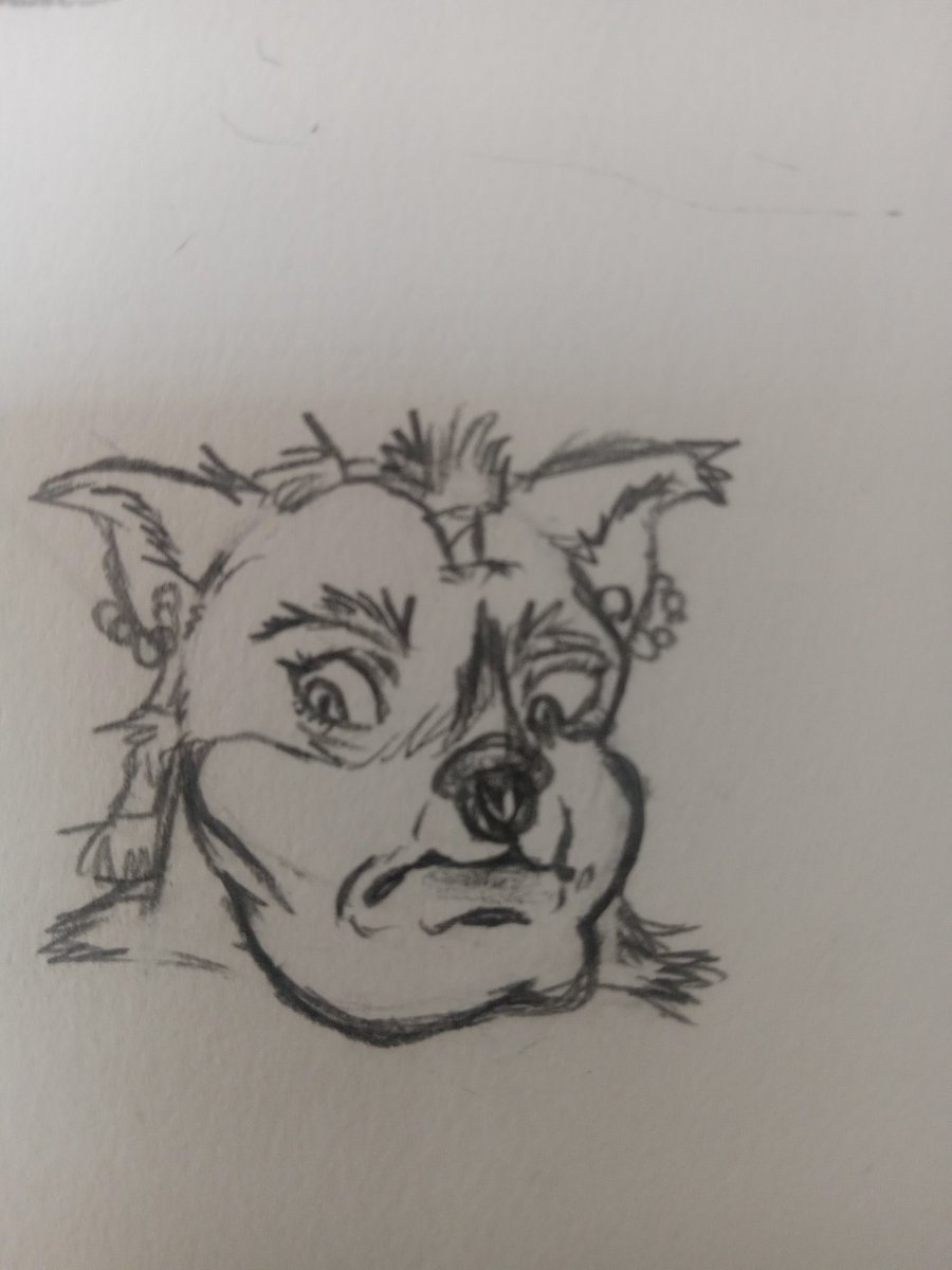 orcbeef1120's tweet photo. More Pete as a species. It isnt the whole race since i was at work but long story short i dubbed his race Petaurens and gave them many different cultural styles and shit. If more people read these ill actually write it all out. https://t.co/CdoUKhYrov
