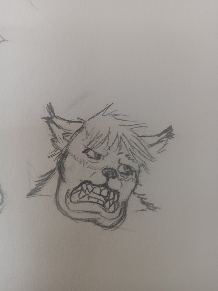 orcbeef1120's tweet photo. More Pete as a species. It isnt the whole race since i was at work but long story short i dubbed his race Petaurens and gave them many different cultural styles and shit. If more people read these ill actually write it all out. https://t.co/CdoUKhYrov