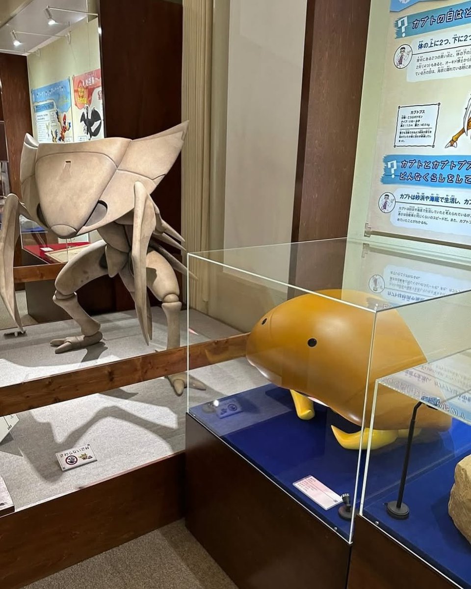 wrld_mag's tweet photo. Un musée de fossiles POKÉMON à Chicago est ouvert au public. https://t.co/305ufb32tA