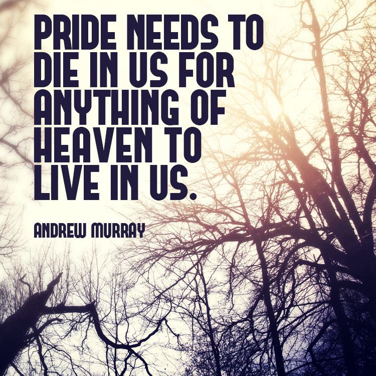 TheFirmament777's tweet photo. ✝️✝️✝️

#pride #humility #jesussaves #transformed newcreation https://t.co/3CzCCjMqHx