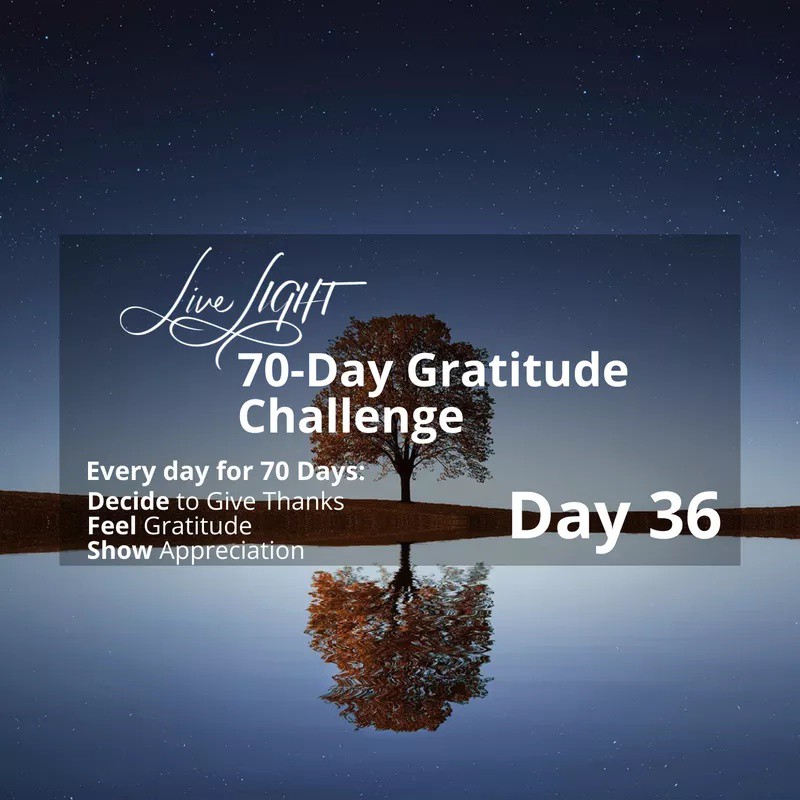 revtrev's tweet photo. Experiencing gratitude doesn’t mean ignoring pain—it means finding hope in God’s faithfulness.

Read more 👉 https://t.co/2Ao2TIO22K

#gratitudechallenge #dailygratitude #LiveLIGHT https://t.co/B9GRTHtoAO