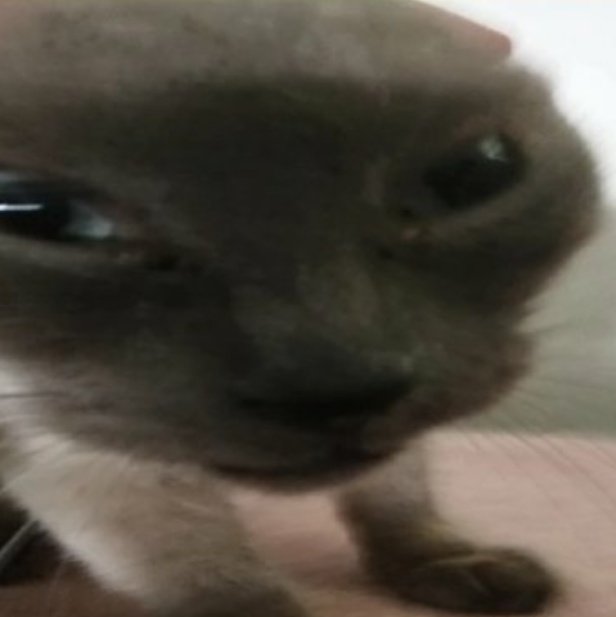 SolAmaTe's tweet photo. Faltam exatos 15 dias pro aniversário dela https://t.co/SgJxuU0AhS