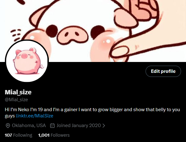 Mial_size's tweet photo. THANK YOU SO MUCH FOR 1K FOLLOWERS IT MEANS A LOT TO ME AND I REALLY THANK YOU FOR LIKED MY CONTENT SO MUCH.

LOVE YOU ALL <3 https://t.co/WezxJuaTR3