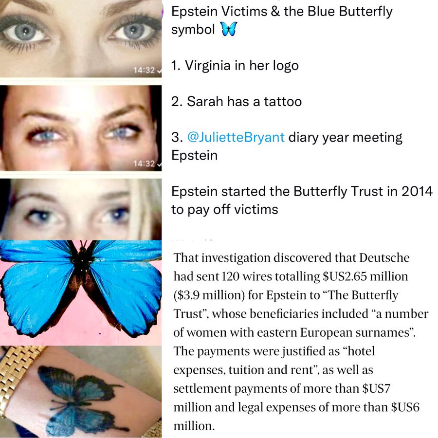 WTAFRich's tweet photo. join me live on Patreon at the top of the hour. I will be discussing all things conspiracy and that disclosure day trailer. Blue Butterfly's and all. The Atlas blue butterfly has over 229 pairs of chromosomes (for a total of 458 chromosomes). 

This blue butterfly is also heavily connected to Epstein survivors and was used by Melania Trump in her Christmas video in 2025.

https://t.co/O1AsC4qkzH