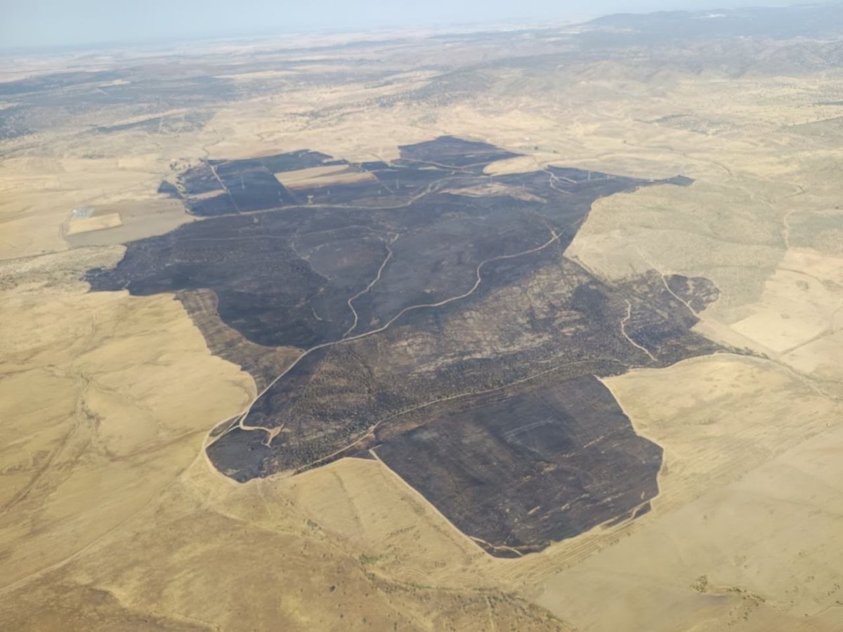 PLANINFOEX's tweet photo. ℹ️ (2) #IFMontemolín 

✅ Nivel 0 (sin riesgos)
👉 Evolución favorable
🌳 Pasto y matorral

🚒 En extinción con medios del @PLANINFOEX 
👨‍🚒 3 unidades de BBFF terrestres + 2 helitransportadas
👮‍♂️ 2 AMN + 2 técnicos de extinción
🚁 2
🛩️ 4

📷 19:00 horas https://t.co/cqei380o4e