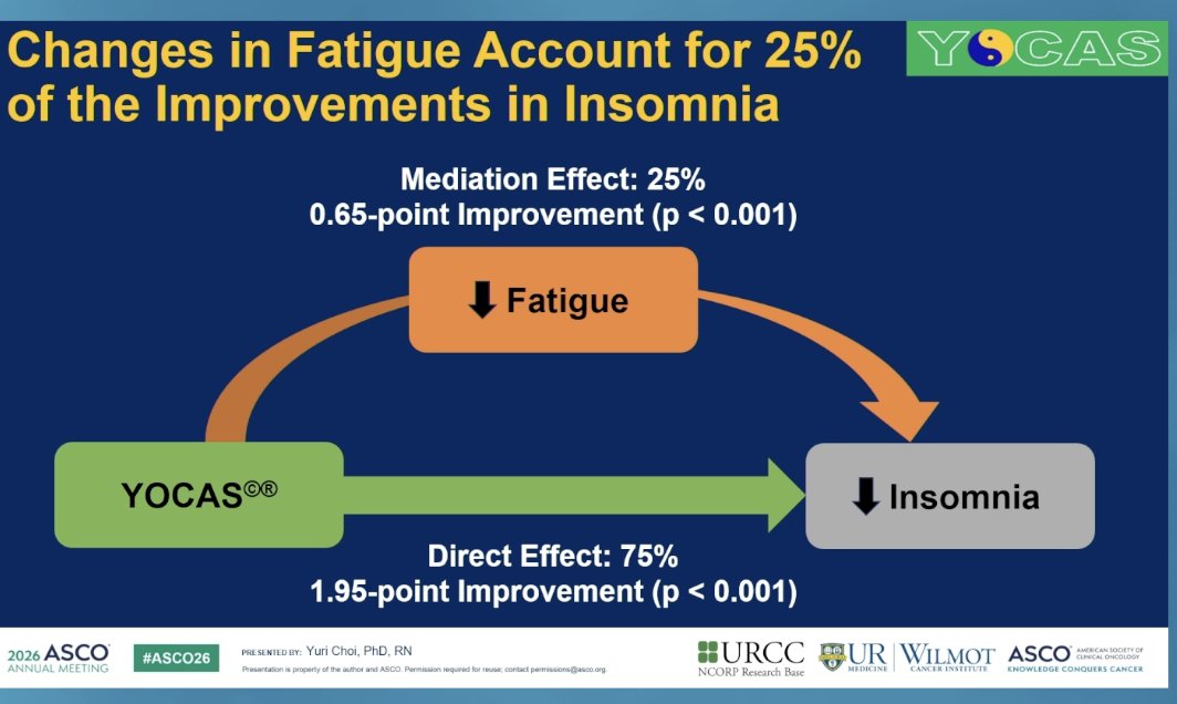 realbowtiedoc's tweet photo. Dr Yuri Choic discusses that by lowering #Mood distrubance in #survonc through #Yoga 🧘♀️ we have the opportunity to reduce #insomnia. By reducing #insomnia we reduce #fatigue #symptomcluster #pallonc #supponc #ASCO26
@OncoAlert🚨
#OncoAlertAF
@FadiHaddad_MD
@Abdallah81MD
@Erman_Akkus
@bavilima
@acampsmalea
@DrFMartinelli
@Dr_Ivanoncologo
@orellanauro
@FernandoOnco
@Lucarecco
@HHorinouchi
@ElisaAgostinett
@to_be_elizabeth
@BRicciutiMD
@nataliagandur
@GaiaGriguolo
@JankovicK
@weoncologists
@OncoReporte
@GIMedOnc
@MarioBalsaMD
@DrMirallas
@OscarTahuahua
@DrRishabhOnco
@UOzkerim
@Onco_Cifu88
@DraMartinezLago
@DaisukeKotani
@PallOncCoP
@MazieTsangMD
@DarcyBurbage
@Chaosdyna
@crisbergerot
@GretchenMcnally
@BbaharK
@asfeen_ummul
@veladconmigo
@FionnualaCrowle
@jillfeldman4
@IshwariaMD
@SrinishantR
@AjuVaniBabu
@rabrazzak
@TamrynGray
@anhbl9