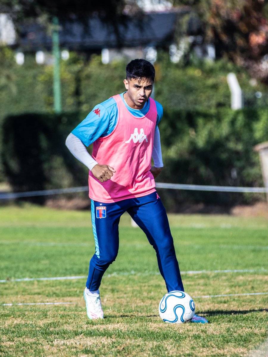 Club Atlético Tigre tweet media