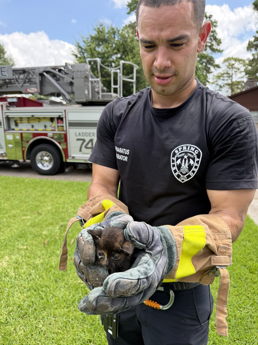 Springfdtx's tweet photo. All in day’s work as Spring Fire Apparatus Operator Johnathan Lumpkin rescues a kitten from a storm drain in BirnhamWood. The family that called for help from Ladder 74C after seeing the kitten fall in is taking care of the tiny tortie. 
#kitten #cat #kittenrescue #springtx #hounews