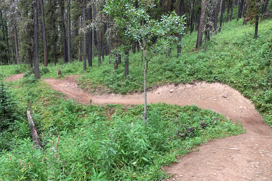TCTrail's tweet photo. June is an amazing month to see the @TCTrail by bike!

Where will you be riding?

#TransCanadaTrail #Cycling #ConnectedCommunities #HealthyCommunities @BraggCreekTrail, @IslandTrailsPEI,
@tourismpei, @TLaurentides https://t.co/MMqrHUq3sI