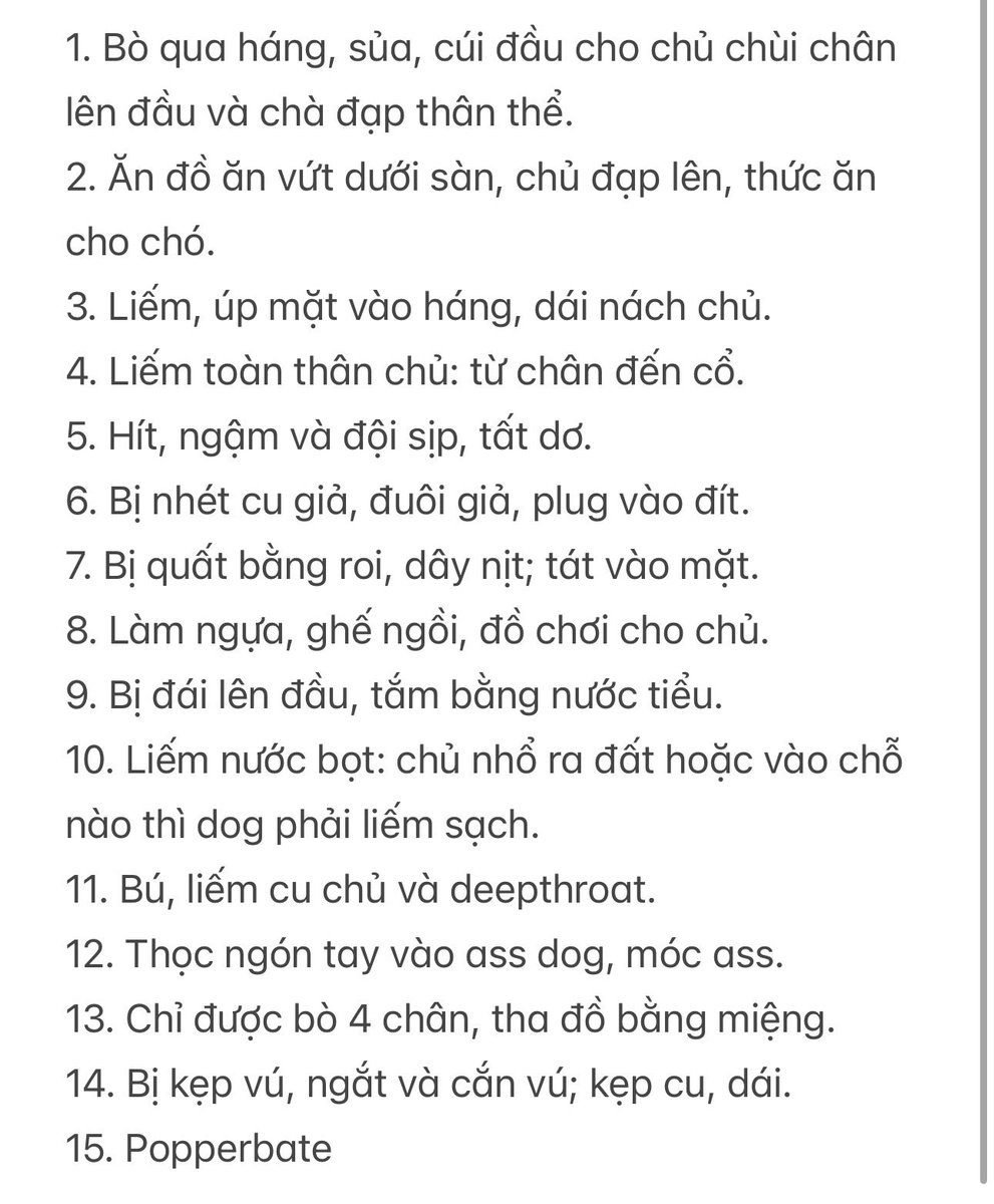 DogTd543's tweet photo. Tìm boss ở Dĩ An Thủ Đức train dog mấy trò này ạ https://t.co/z1fBlfIqAY