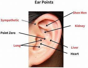 docjohntwit's tweet photo. Alpha-Gal Syndrome and Auricular Therapy: A Promising Three-Week Treatment Approach
What Is Alpha-Gal Syndrome?
Alpha-gal syndrome, often called red meat allergy or tick-bite meat allergy, is an allergic condition in which the immune system reacts to a sugar molecule called galactose-α-1,3-galactose, commonly called alpha-gal.

Alpha-gal is found in most mammals, including cows, pigs, sheep, deer, and rabbits, but not in humans. In the United States, alpha-gal syndrome is most often associated with the bite of the lone star tick.

Unlike many food allergies, alpha-gal reactions are often delayed. A person may eat beef, pork, lamb, venison, dairy, gelatin, or another mammal-derived product and not develop symptoms until several hours later.
https://t.co/3NnQBOdvT2