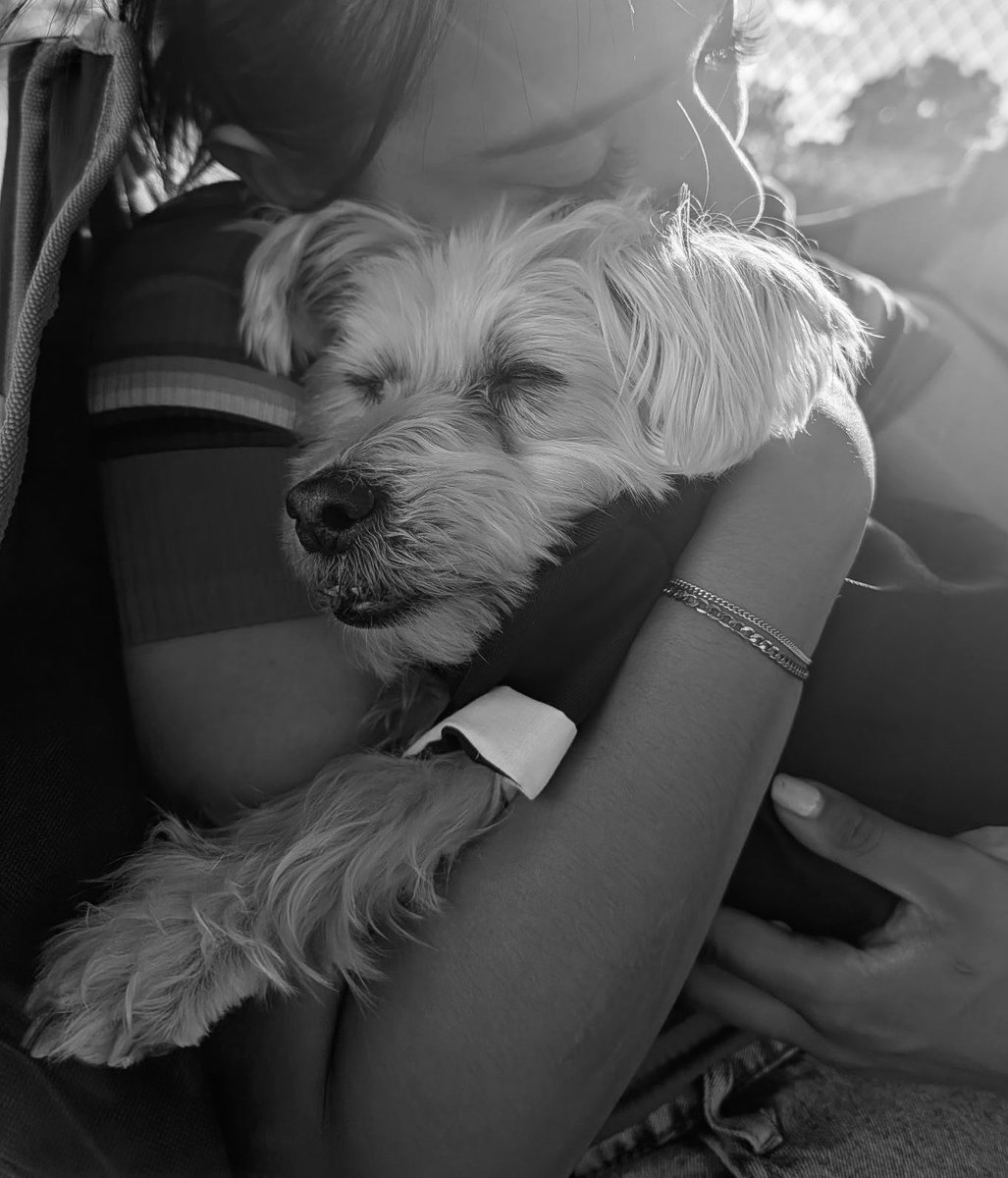 YHsimba's tweet photo. My baby is gone 🌈☁️ 💔 11:30am 6/1/26 https://t.co/epBhmIQdND