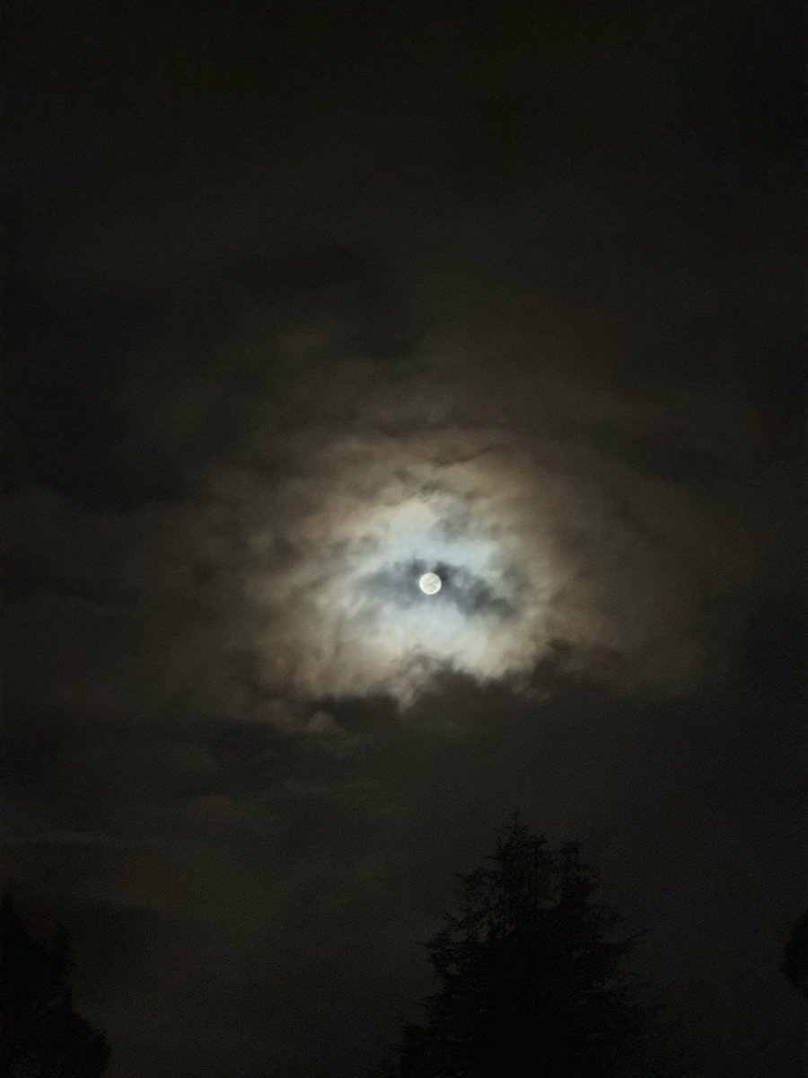 tomas8wray's tweet photo. Heaven knows i might never sleep, troublin’ my soul https://t.co/7BfmuRbpbu
