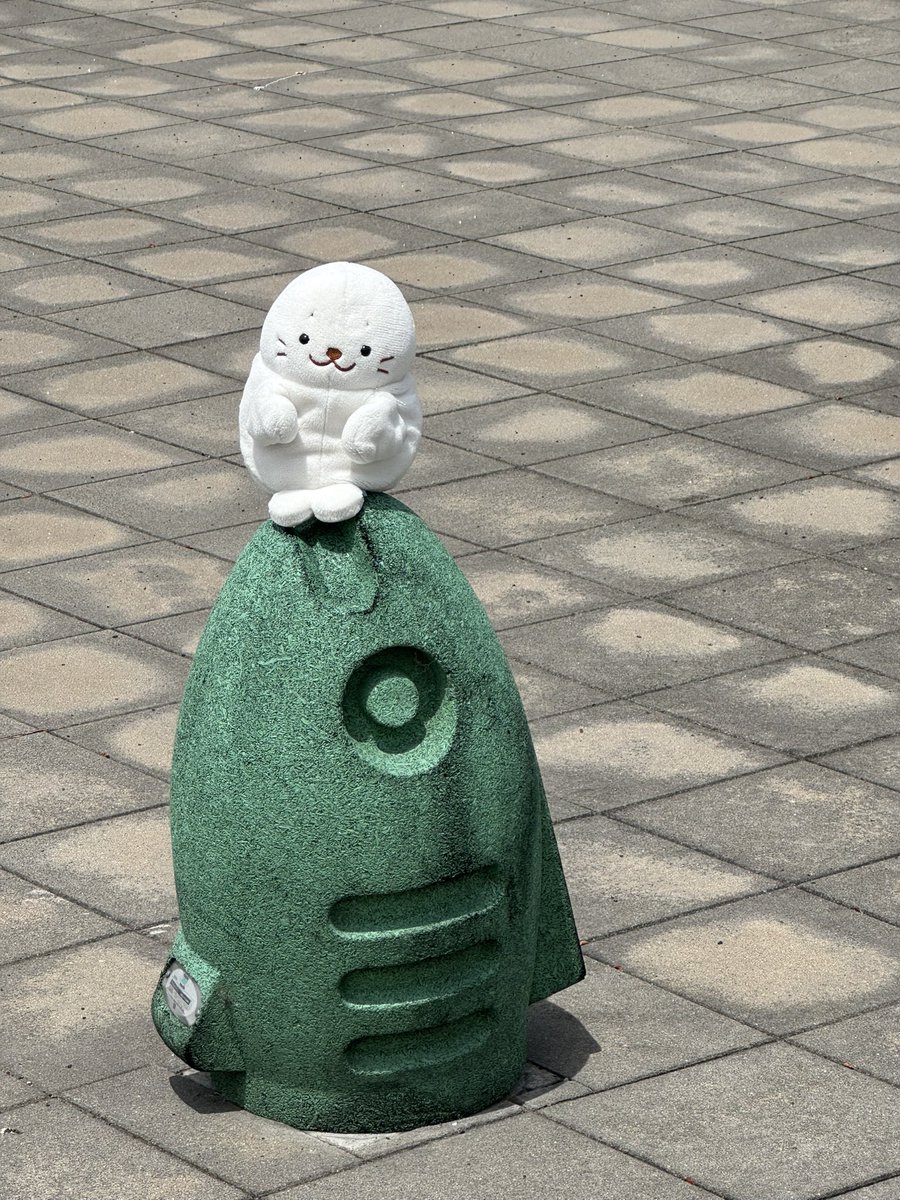 SirotanMap2's tweet photo. ちょこん https://t.co/gzYi1P9y1E