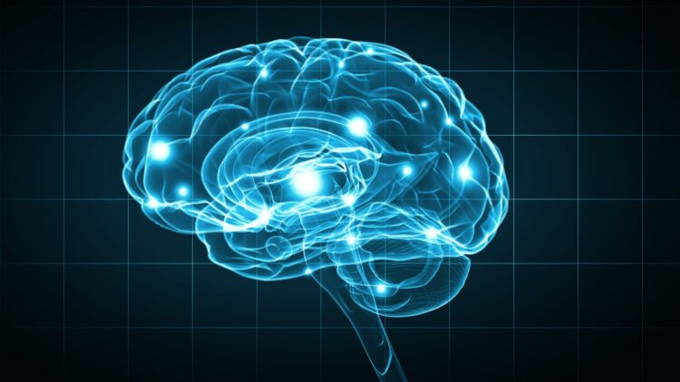 MichaelLinLab's tweet photo. @KarlDeisseroth @smoolee85 @yusterafa @lisa_giocomo All made possible by @StanfordBrain
@NIH_NINDS NIMH NIGMS @NIH_Innovates and @USBrainAlliance (#BRAINInitiative) supporting "new technologies to explore how the brain’s cells and circuits interact at the speed of thought" https://t.co/0RNiLWJ2DN