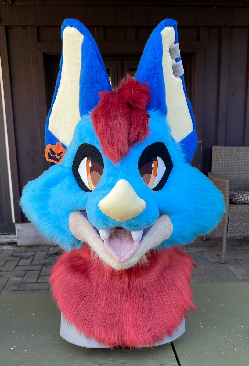 Aceyboos's tweet photo. Sooo happy to have this head done!! Welcoming Leyna to the Aceyboos family 🫶
Will be making into a full partial! https://t.co/gz0XAnablC