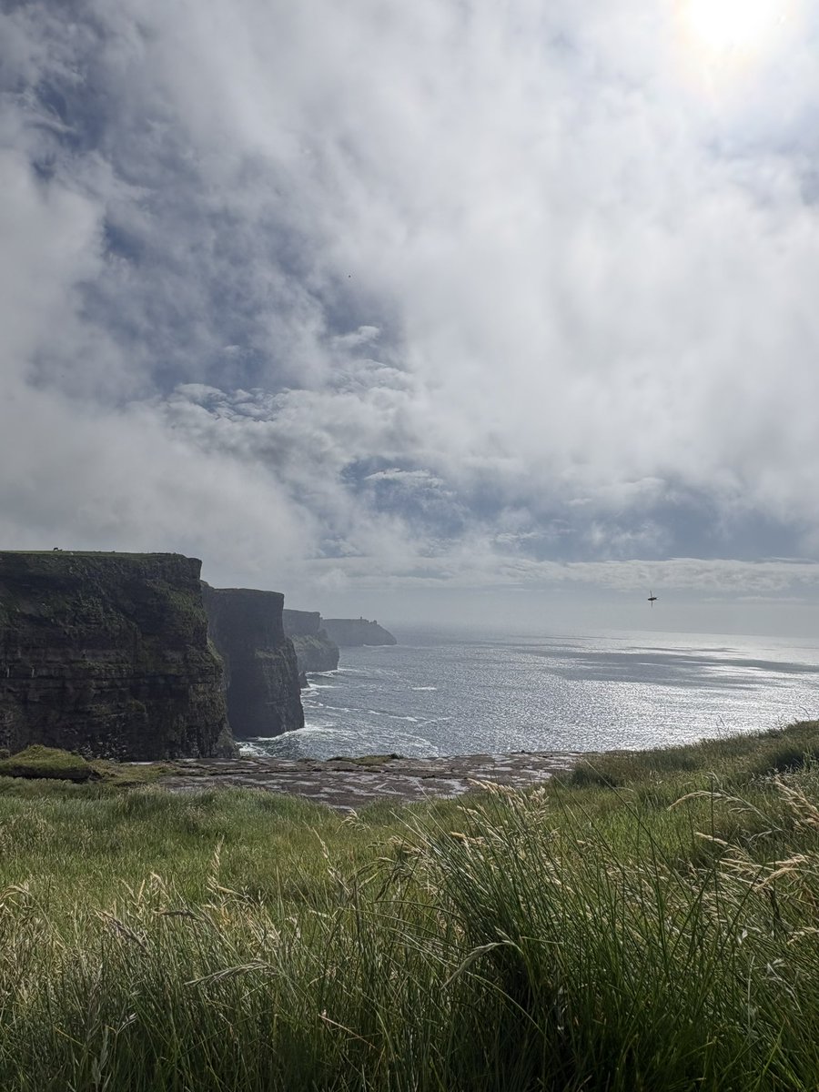 evatattoos's tweet photo. cliffs of moher 🍀 https://t.co/M7I9j0sVpM