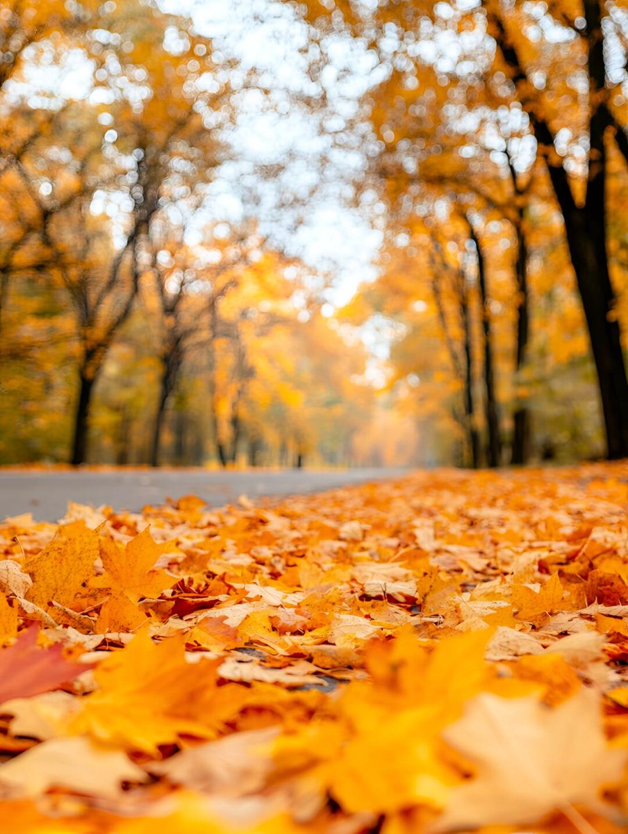 NextWenzo's tweet photo. The first autumn breeze is here  Grab your coffee, it’s cozy season! https://t.co/fLGIUEtSd5