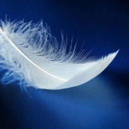 luz_marcha's tweet photo. Belle nuit etoilee monde. Que votre votre coeur soit leger comme cette plume et decharge de tout ce qui vous pese.
Bon repos a tous.
#CALME #PAIX #SERENITE. https://t.co/YR9cyJ7SKa