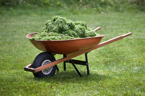 SharonSellsMore's tweet photo. Wondering what do with grass clippings after you mow? Here's how to use them to improve your garden. https://t.co/8xAfTwKru8 https://t.co/hreyiZRwUT