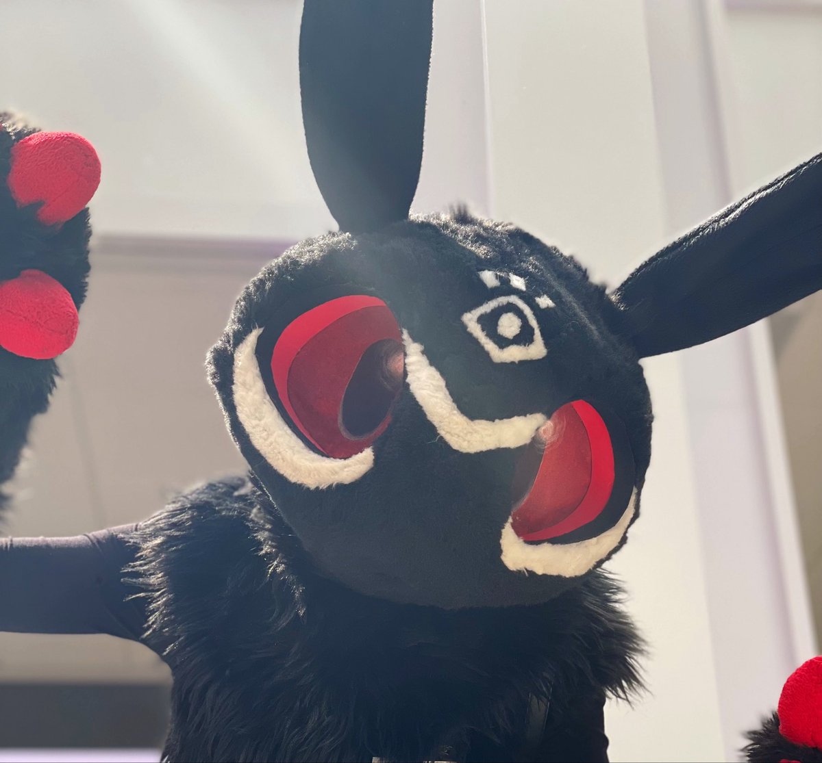 CedarCryptid's tweet photo. Happy Pride Moth! ❤️🧡💛💚💙💜🩵🩷🤍🤎🖤 https://t.co/tIzT3hDWZt