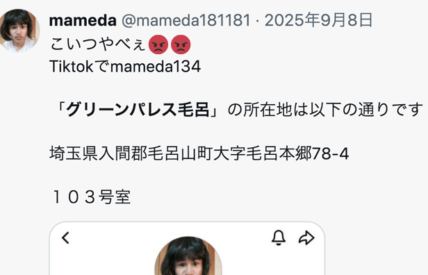 藍染ガレソの悲報 tweet media
