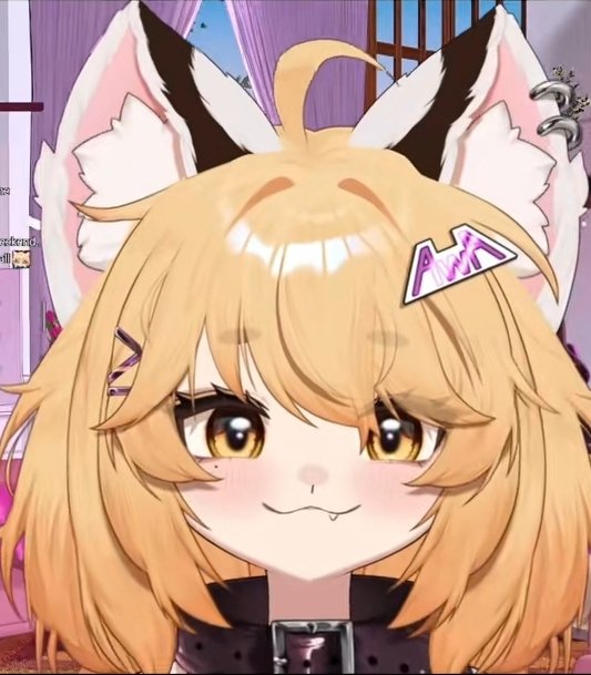 VioletFloof's tweet photo. @Tazzy_VR Depends, you got games on ya phone? https://t.co/aa2LWMjhea