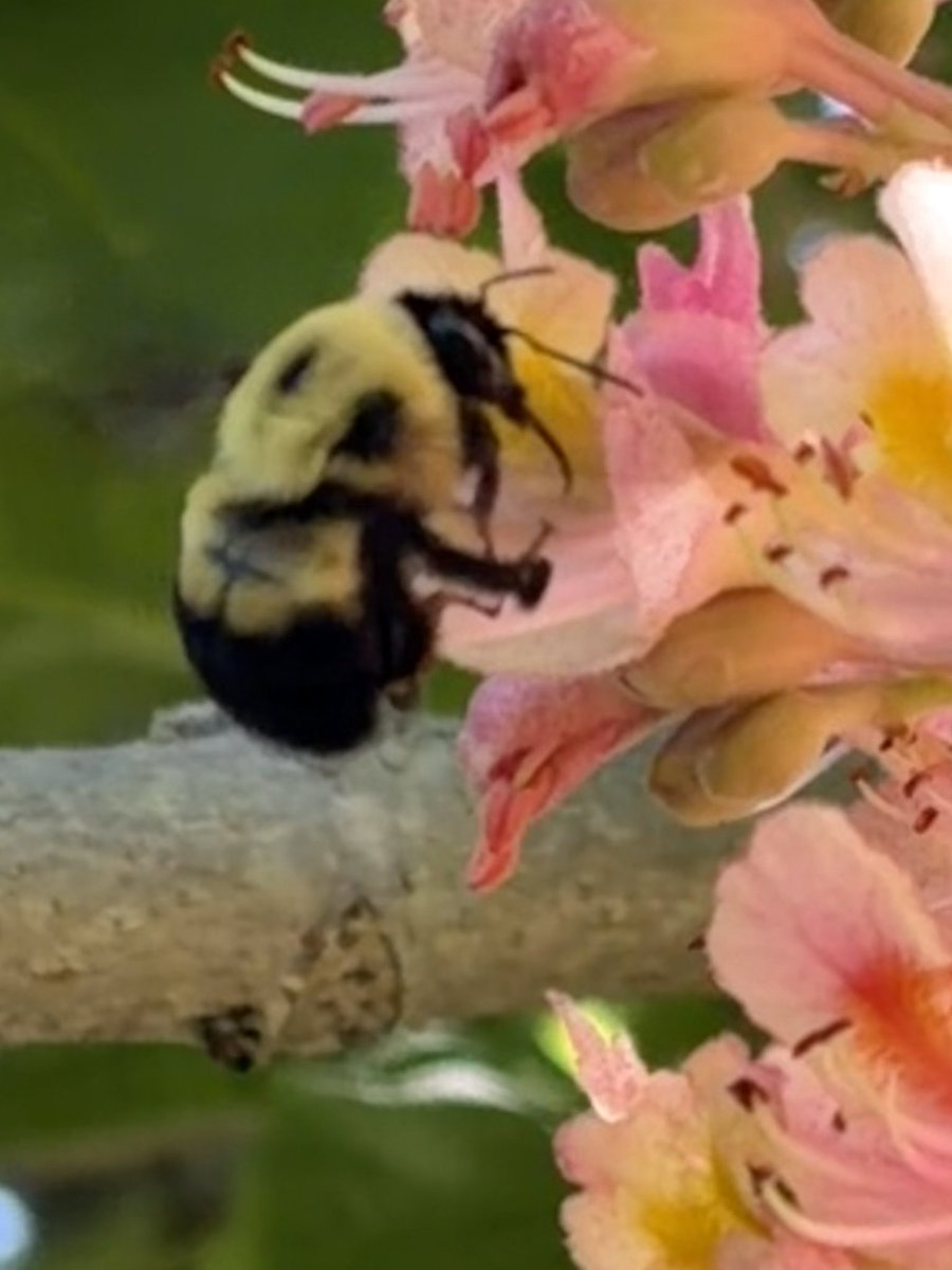etsstokes's tweet photo. A few from today. https://t.co/xRCPQk1tCd