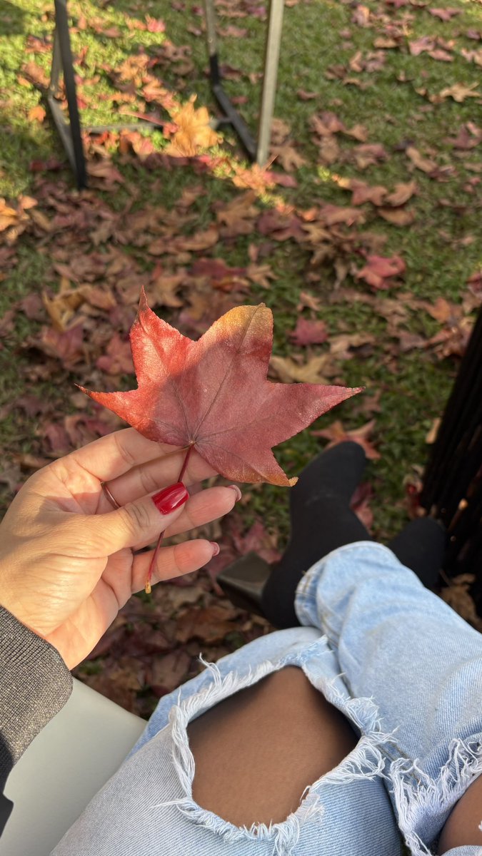 MarciaC1990's tweet photo. Outono e suas belezas 🍂🍁 https://t.co/aqmKQwUFn5