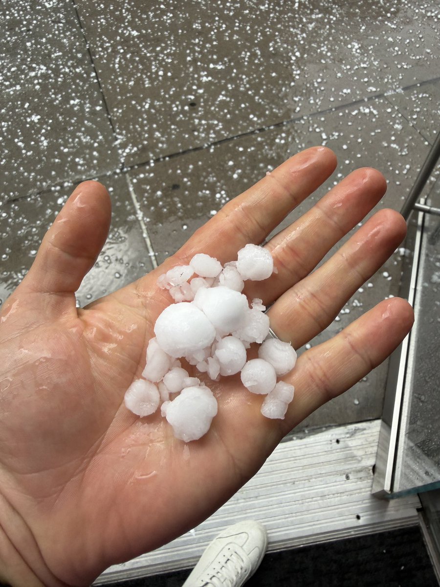 JJProwe's tweet photo. Helluva hail storm downtown - up to about 1.25” but hard to tell because most of the larger hailstones were smashing on impact. @NWSBoulder @BianchiWeather @BoulderCAST https://t.co/tEltuTc0G5