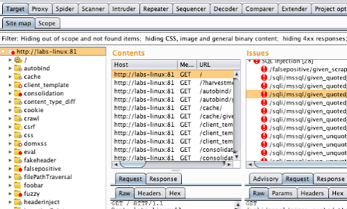 dCyberCrocheter's tweet photo. Day 21 with @VAInitiatives

 Built my first hacking lab with DVWA + Burp Suite. Intercepted HTTP requests like traffic in motion. 

DVWA is my “medical mannequin” for cyber practice. 
Burp sits between browser &amp; server, rewriting reality in real time. 

I can finally see the web. https://t.co/HopnxIsLjN