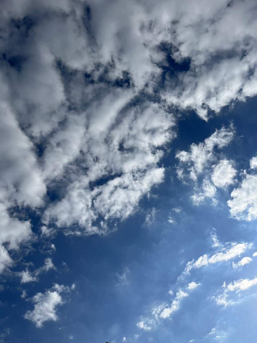 𝒞𝒽𝒾𝓏𝓊 /智津 (@ep3186) / Posts / X