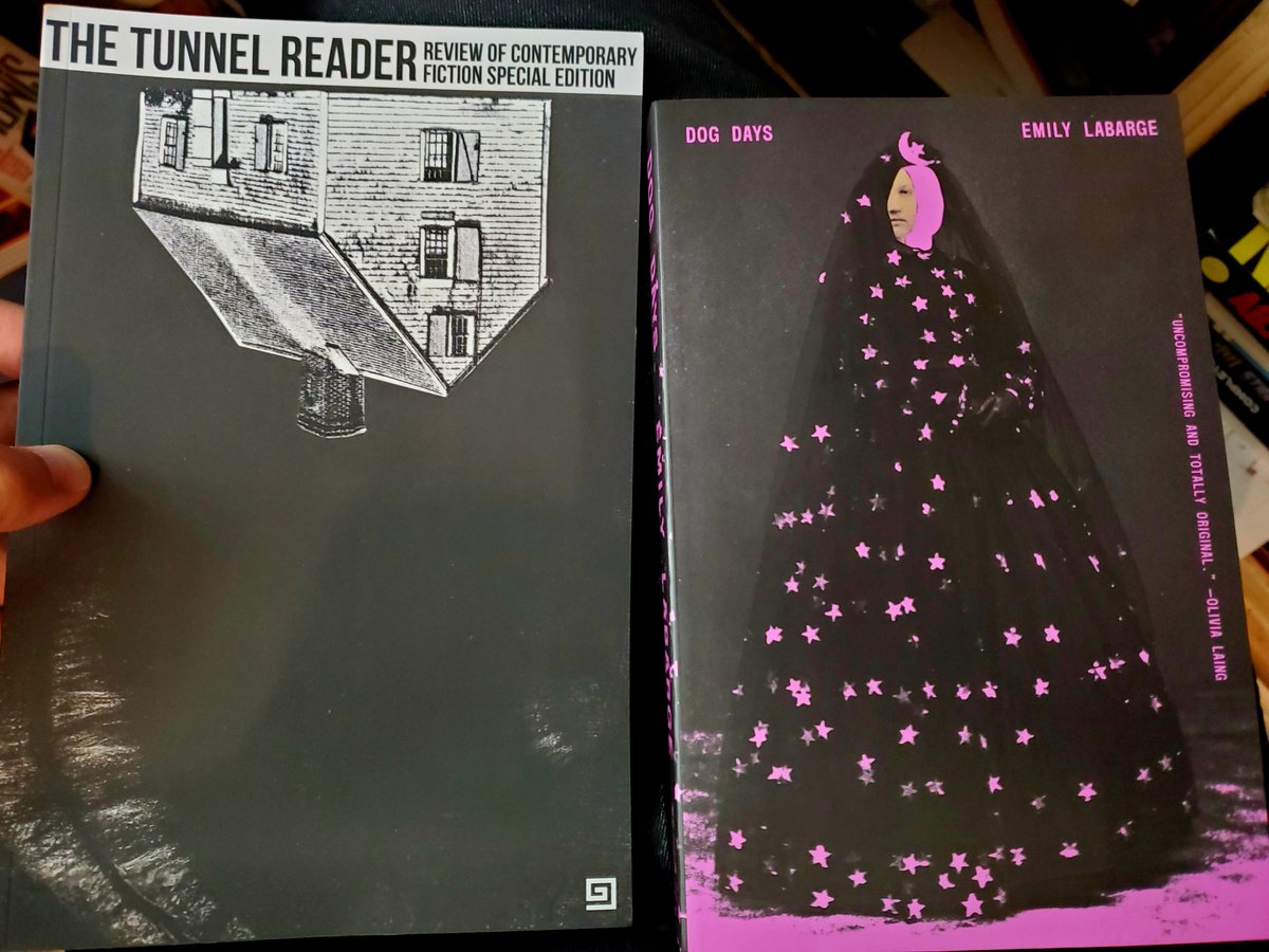 ahsanb_'s tweet photo. Fantastic mail day
@Dalkey_Archive @transitbooks https://t.co/IN5Bn6dVUN