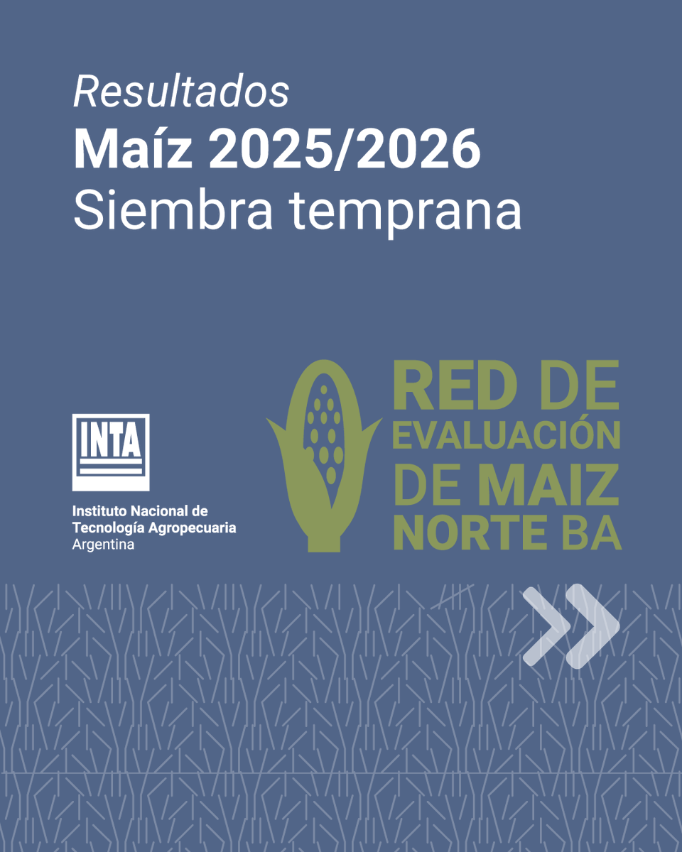 IntaPergamino's tweet photo. 🌽 Resultados de la Red de Evaluación de Maíz del Norte de Buenos Aires.

📊Compartimos la información preliminar obtenida de los maíces de sembrados en fecha temprana en los 6 sitios: 
📍#Pergamino
📍#SanAntoniodeAreco
📍#GeneralVillegas
📍#Chivilcoy
📍#Bolívar
📍#9deJulio https://t.co/hymUIVAKYx