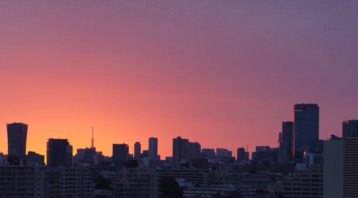 _smcf's tweet photo. gm setagaya https://t.co/qoNPU2NWuf