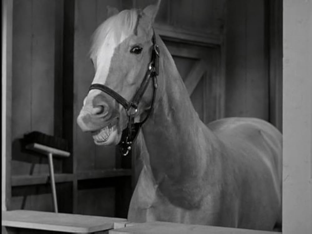 apendle's tweet photo. @thecatwhochats @ianbremmer He is a stable genius, after all. https://t.co/i3UN65OlTs
