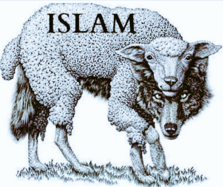 ImtiazMadmood's tweet photo. - @Afghan609 https://t.co/tQxgJVqbRv