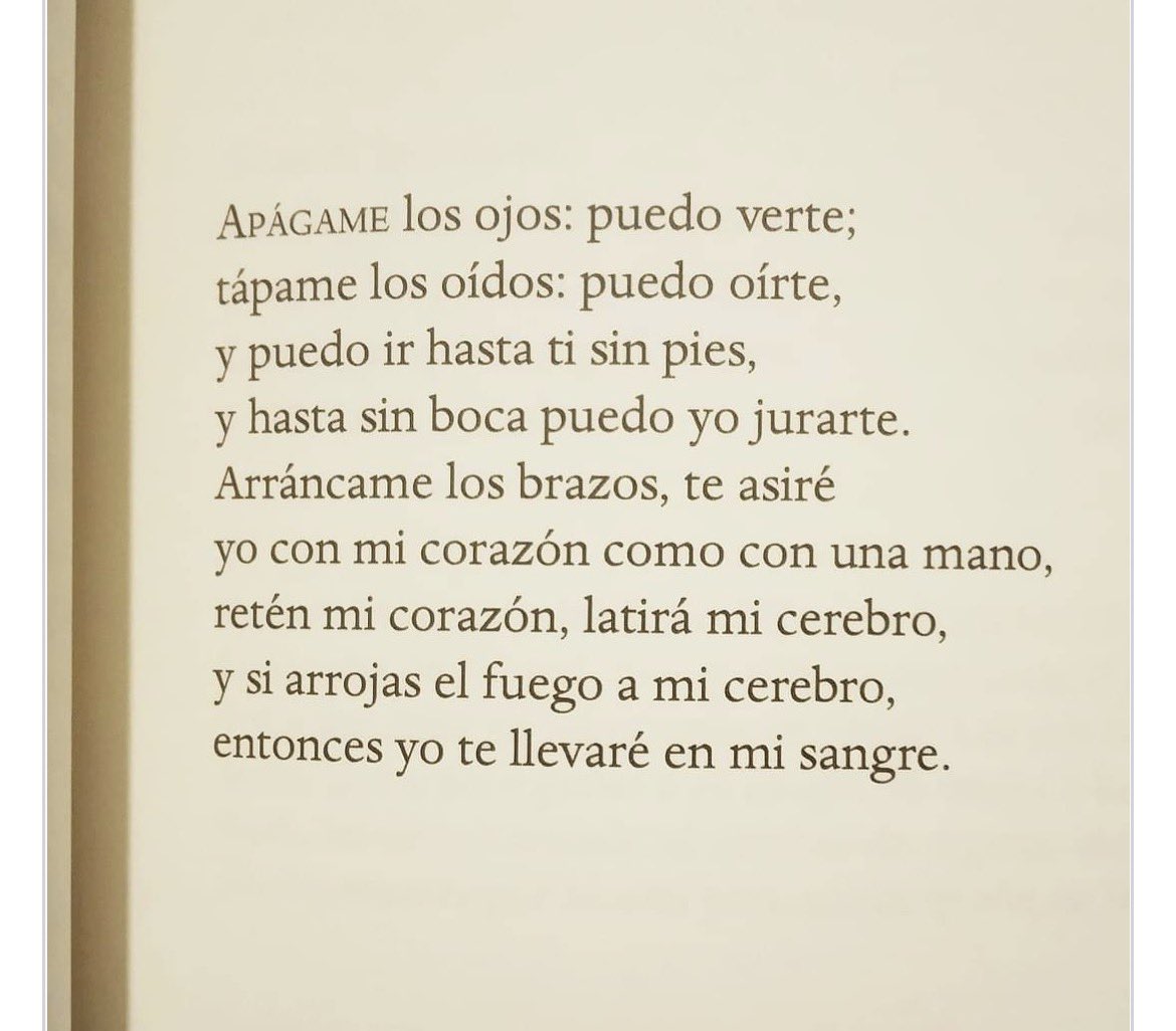 FerJPalacios's tweet photo. Un poema de amor divino y un divino poema de amor. 

Haz lo que quieras, vives en mí y mi amor siempre encontrará una forma de encontrarte. https://t.co/UFpi0XgSz1