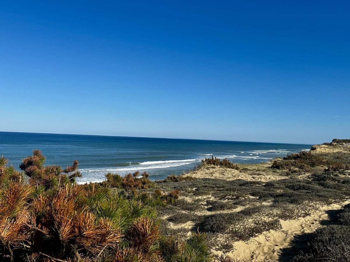 NHALAW's tweet photo. Even a quick day trip can create lasting memories! 🌊 Julie recently enjoyed a visit to beautiful Cape Cod, taking in the waterfront views and stopping by one of the area’s iconic historic windmills. https://t.co/SQmvKkbYYS