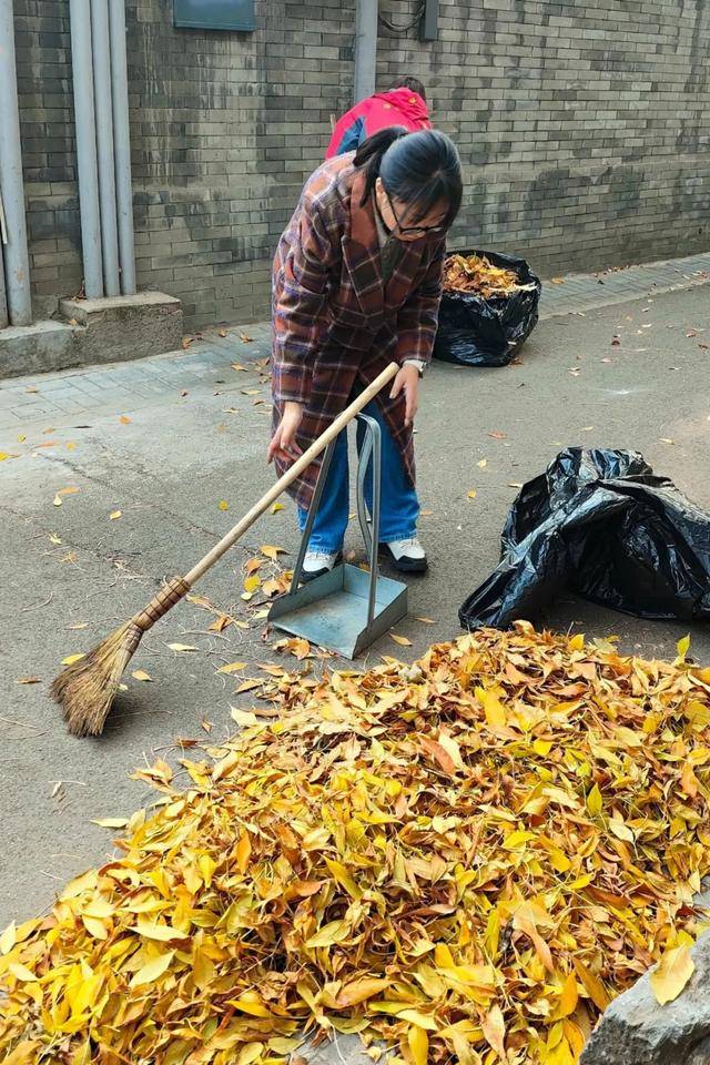 Stephane65320's tweet photo. Just found my little helper using a dustpan to "clean" the flower bed—way cuter than any organized tidy-up! https://t.co/drpozhYN8V